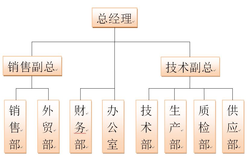 西安能高电力组织机构图.JPG